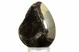 Septarian Dragon Egg Geode - Sparkly Black Crystals #344439-2